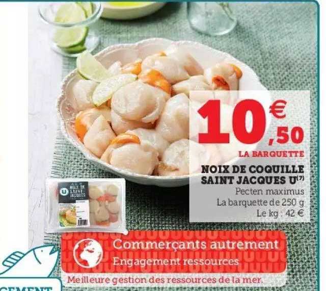 noix de coquille saint jacques u
