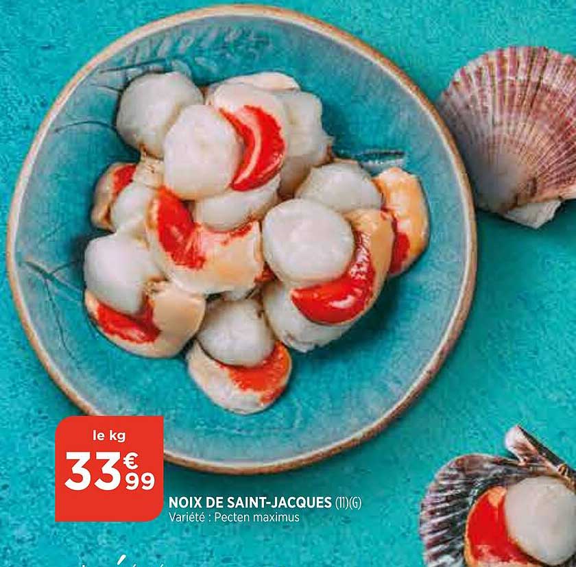 noix de saint-jacques