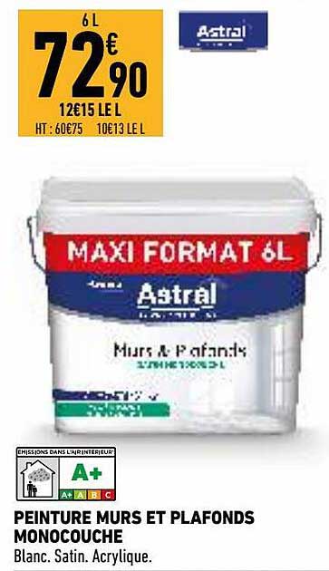 Peinture Murs Et Plafonds Monocouche Astral