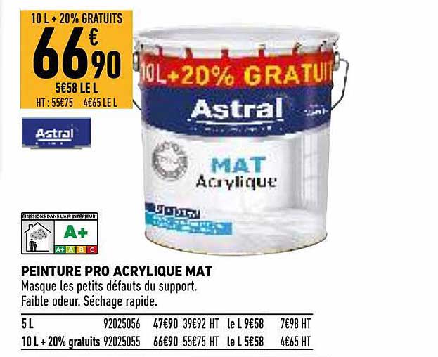 peinture pro acrylique mat astral