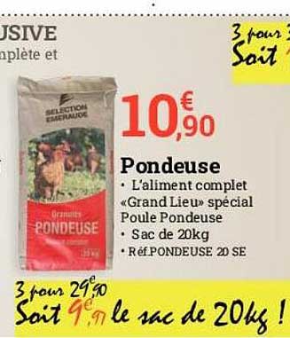 pondeuse
