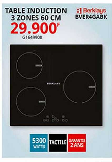 table induction 3 zones 60 cm berklays