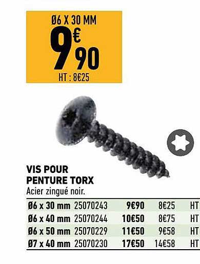 Vis Pour Peinture Torx