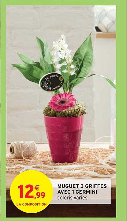 muguet 3 griffes avec 1 germini