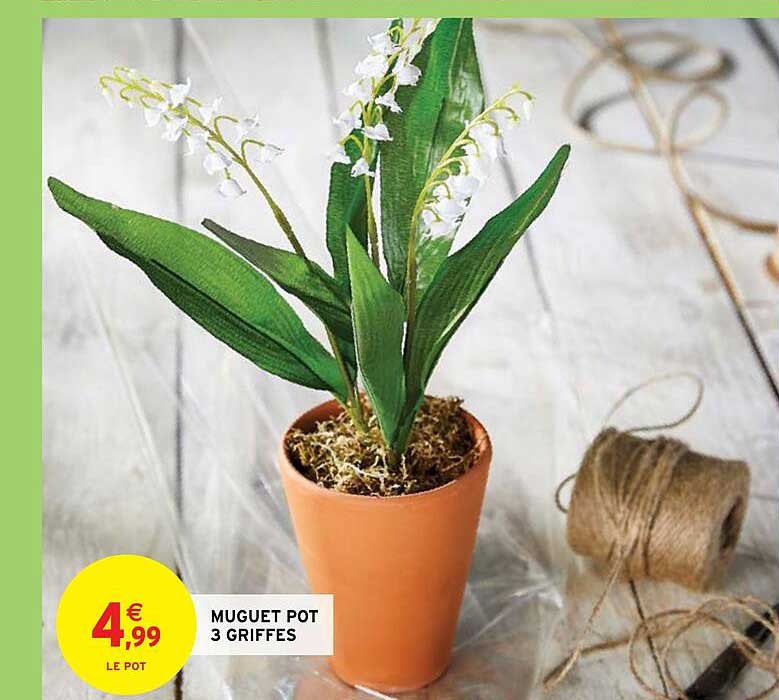 muguet pot 3 griffes