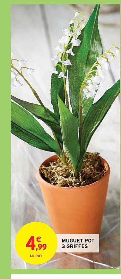 muguet pot 3 griffes