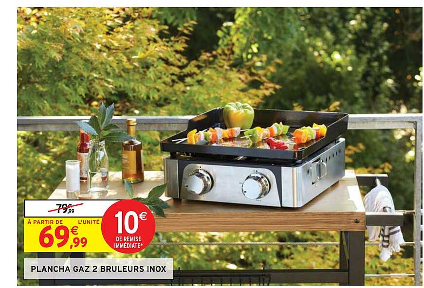 plancha gaz 2 brûleurs inox
