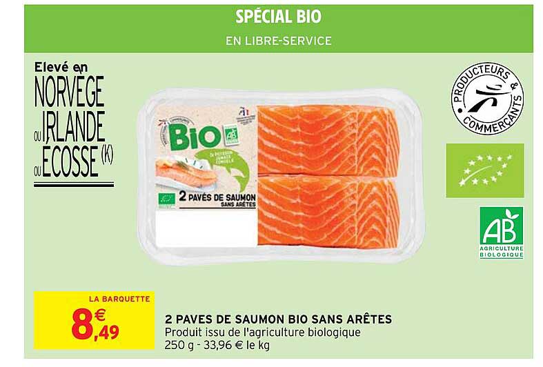 2 Pavés De Saumon Bio Sans Arêtes