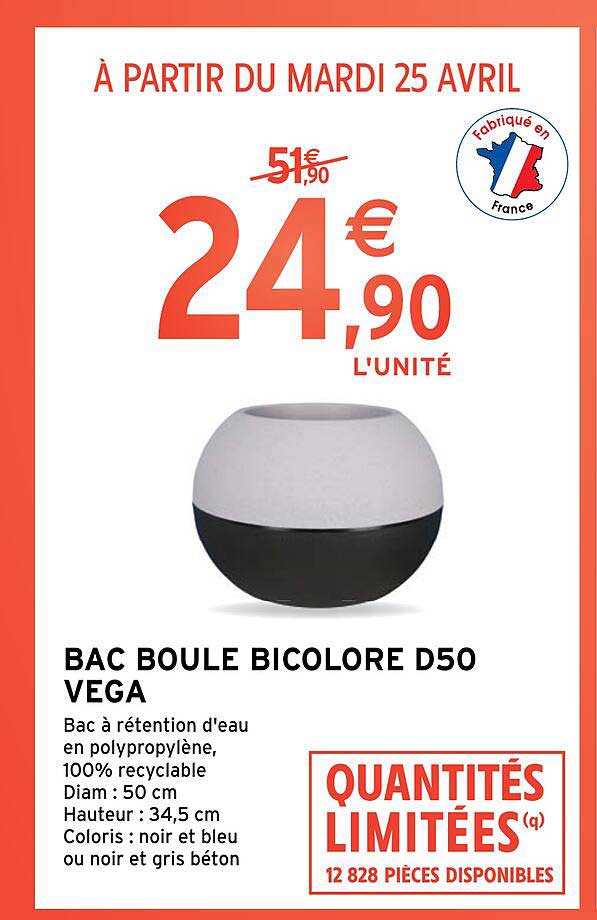 bac boule bicolore d50 vega