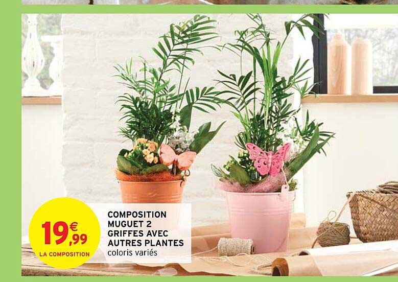 composition muguet 2 griffes avec autres plantes