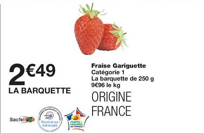 fraise gariguette