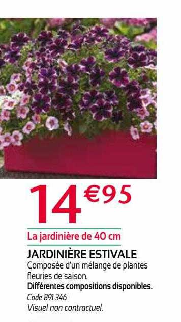 jardinière estivale