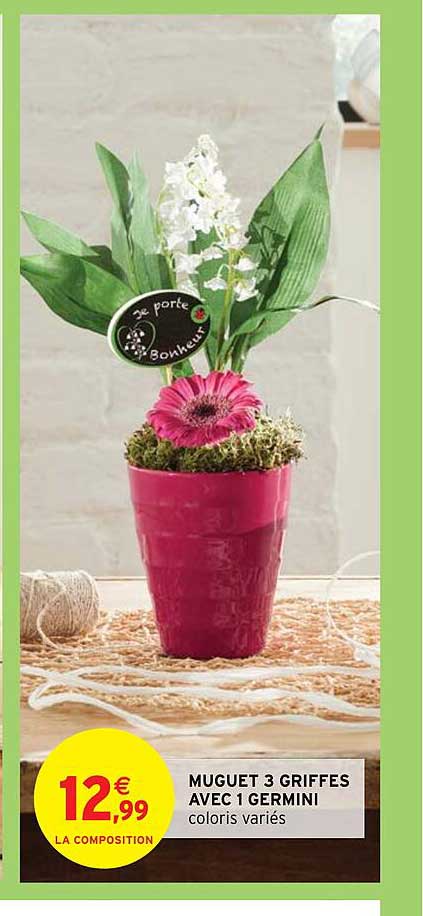muguet 3 griffes avec 1 germini