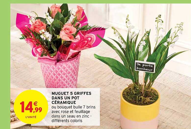 muguet 5 griffes dans un pot céramique