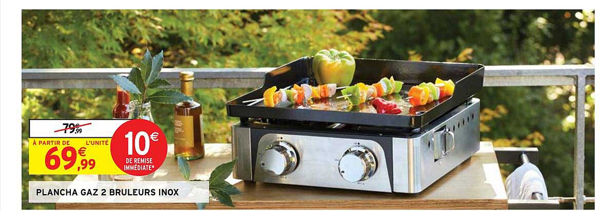 plancha gaz 2 brûleurs inox