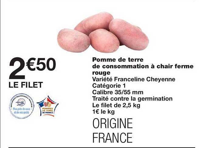 Pomme De Terre De Consommation à Chair Ferme Rouge