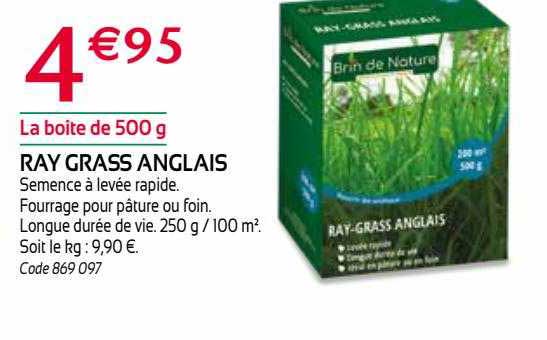 ray grass anglais