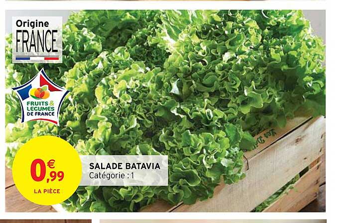 Salade Batavia
