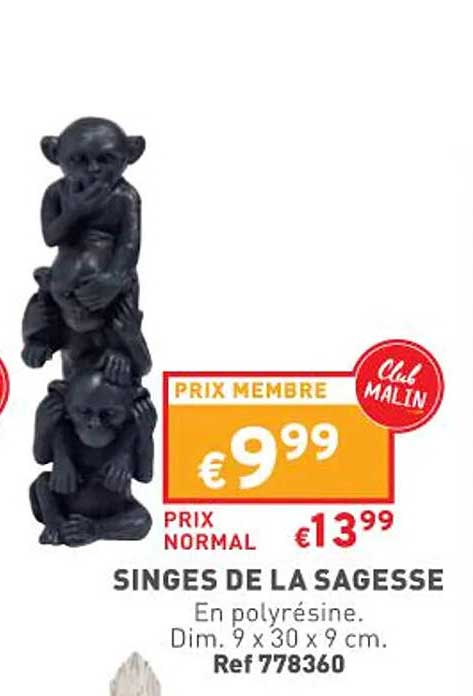 singes de la sagesse