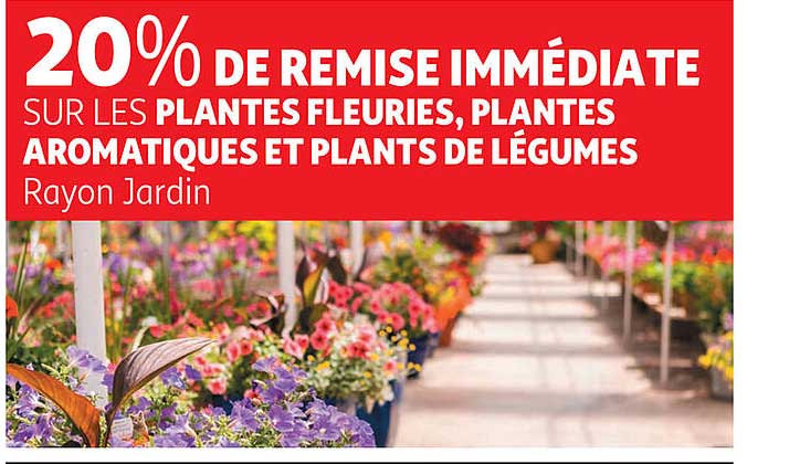 20% de remise immediate sur les plantes fleuries, plantes aromatiques et plants de legumes rayon jardin