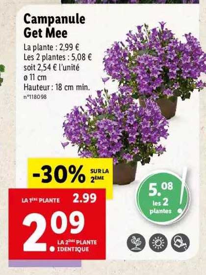 campanule get mee -30% sur la 2ème