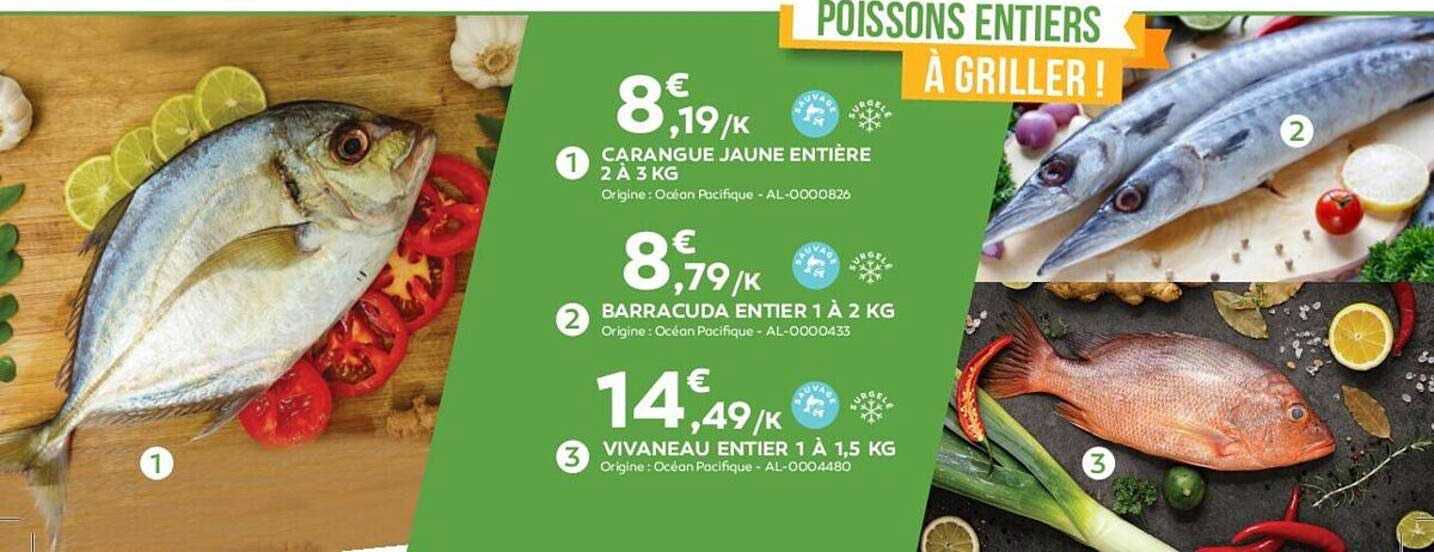 Carangue Jaune Entiere, Barracuda Entiere, Vivaneau Entier