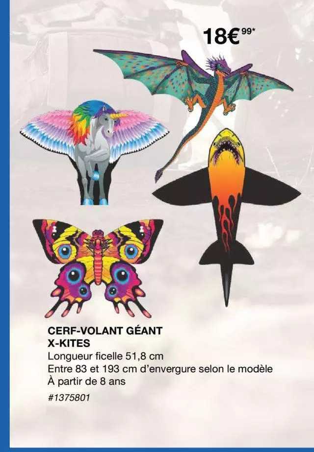 cerf-volant géant x-kites