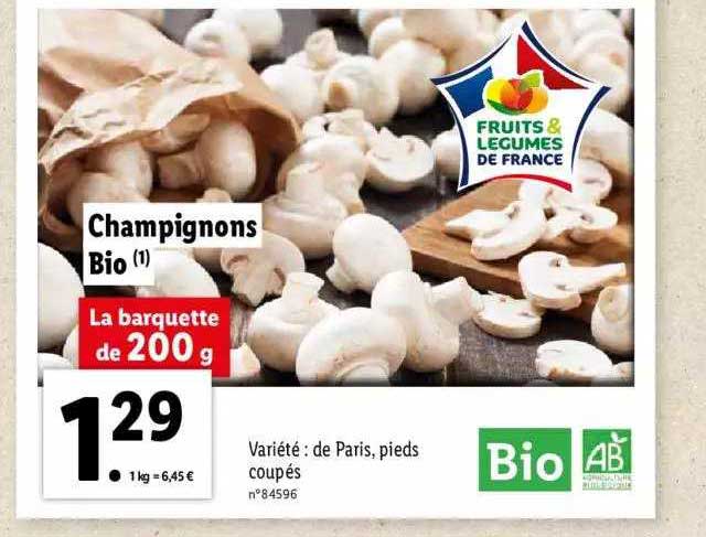 Champignons Bio