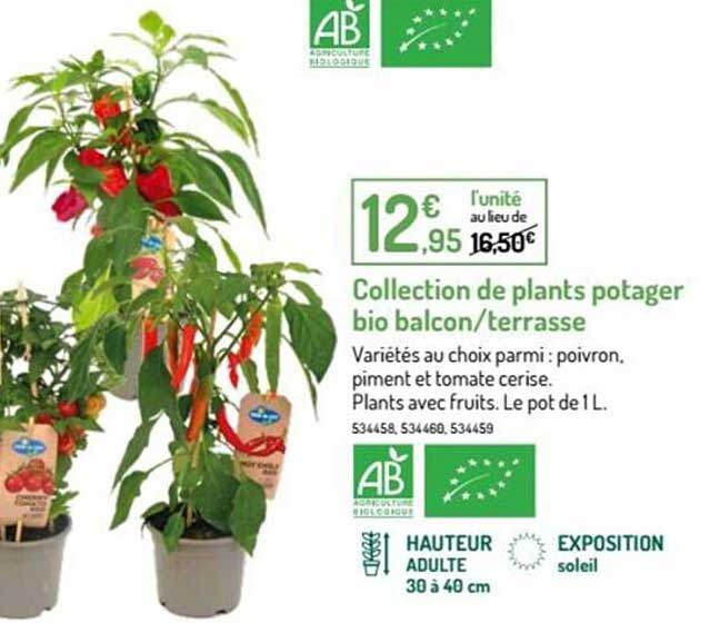 collection de plants potager bio balcon - terrasse