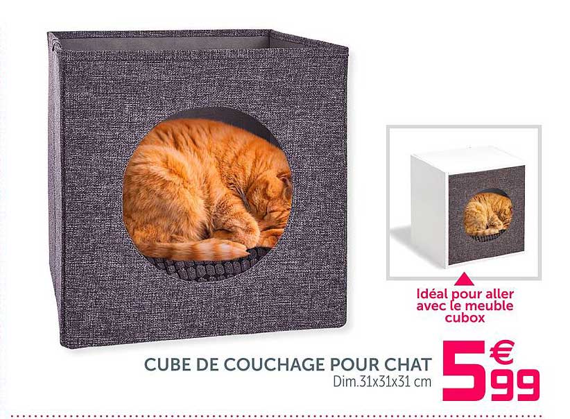 Cube De Couchage Pour Chat