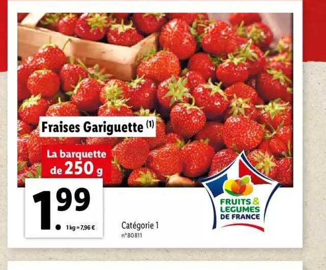 fraises gariguette