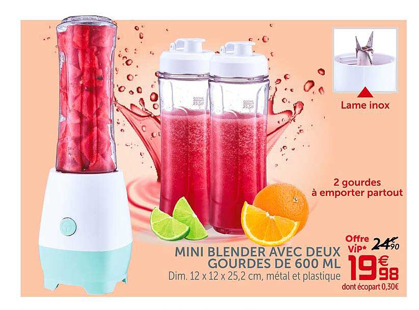 mini blender avec deux gourdes de 600 ml