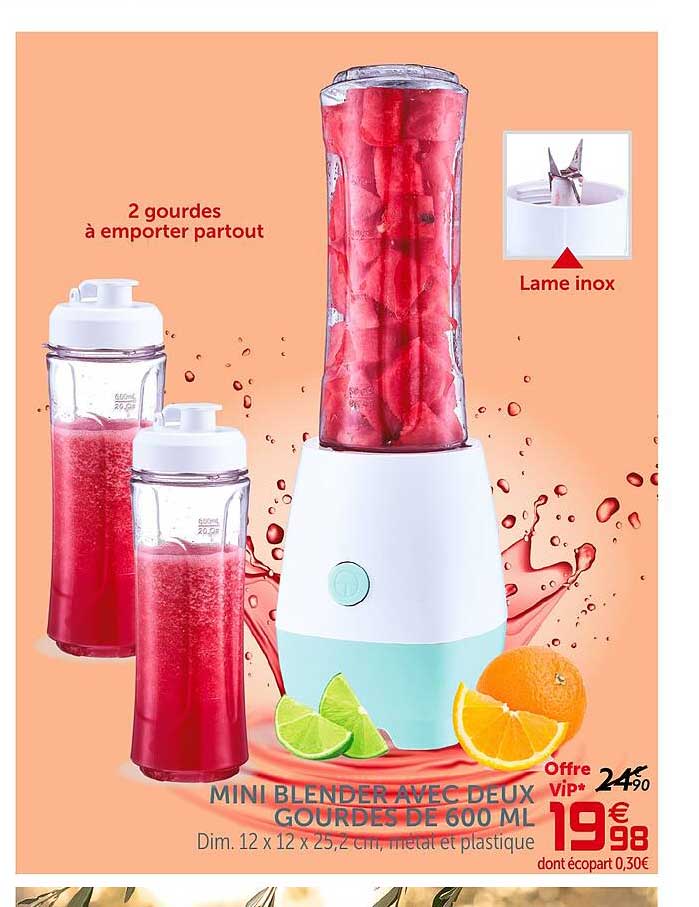 mini blender avec deux gourdes de 600 ml