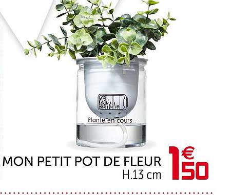 Mon Petit Pot De Fleur