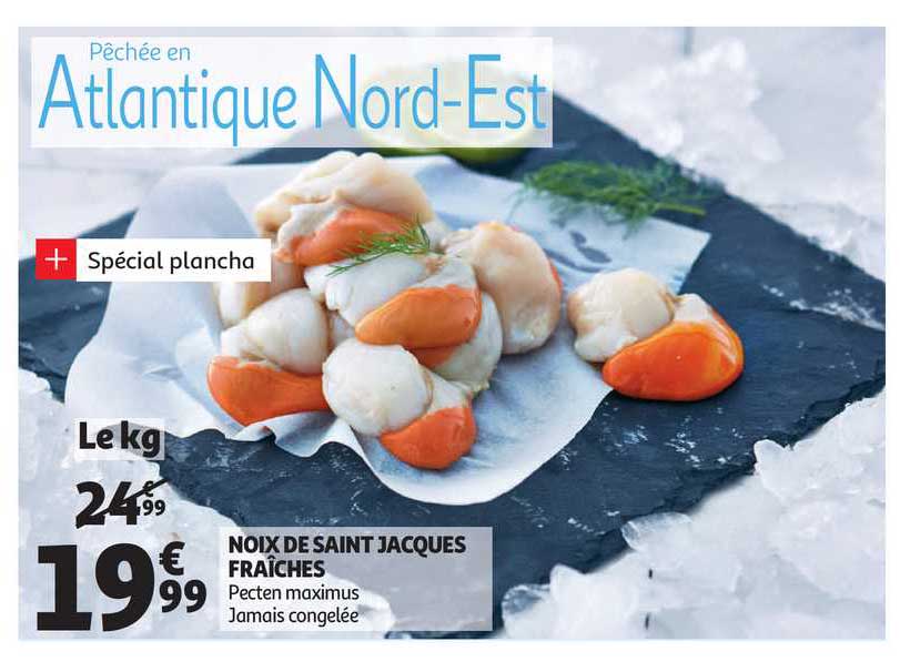 noix de saint jacques fraiches