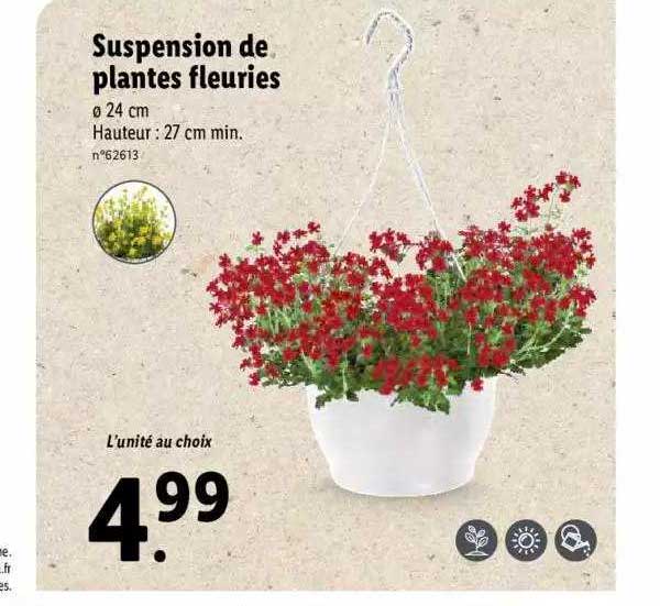 suspension de plantes fleuries