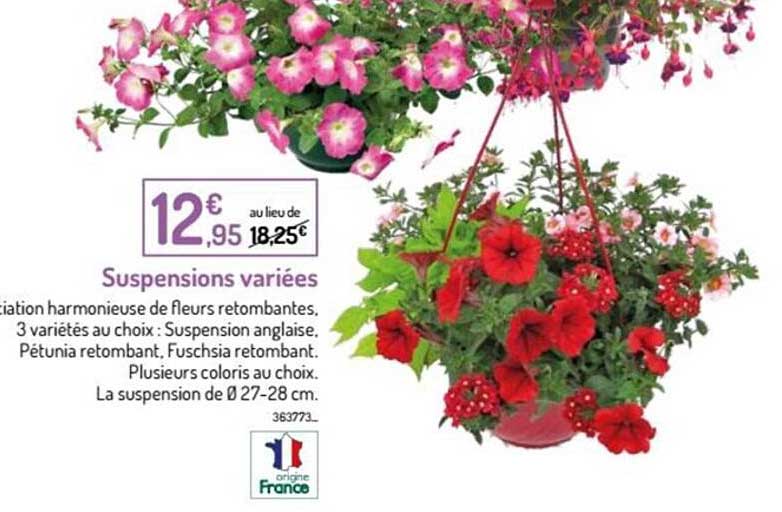 suspensions variées