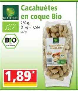 cacahuètes en coque bio bio sonne
