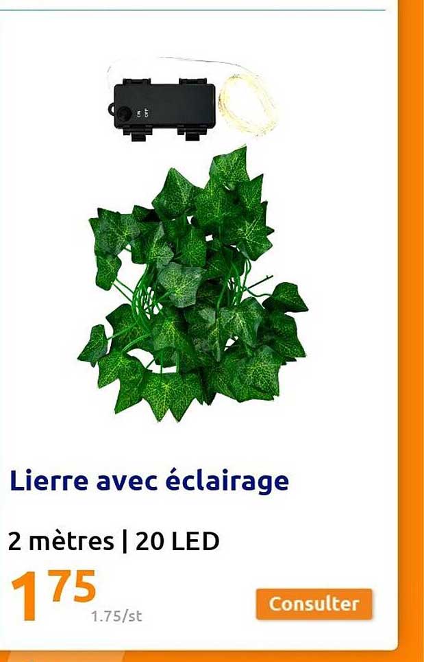 lierre avec éclairage