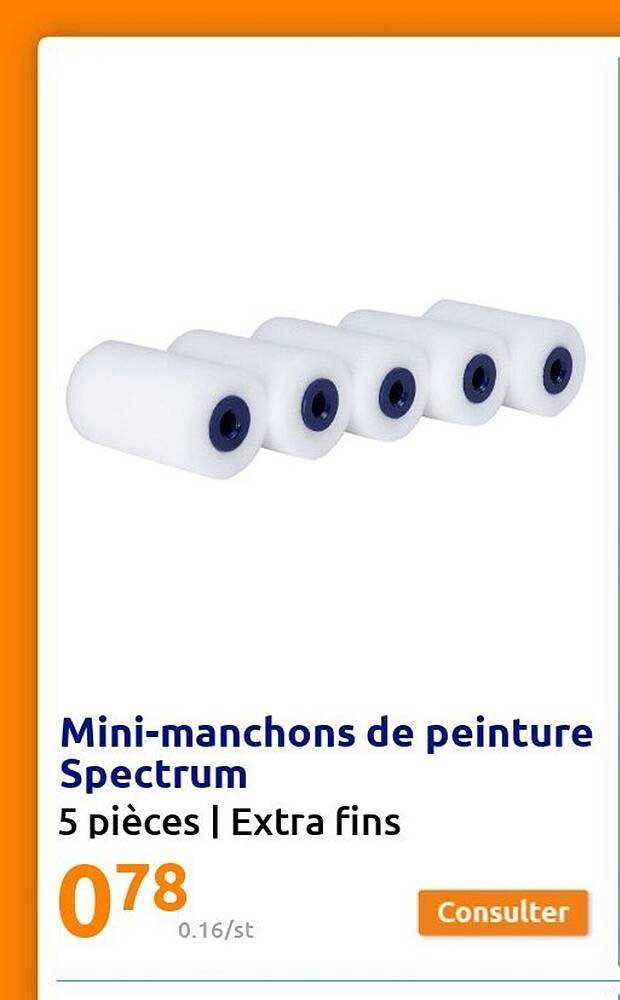 mini-manchons de peinture spectrum
