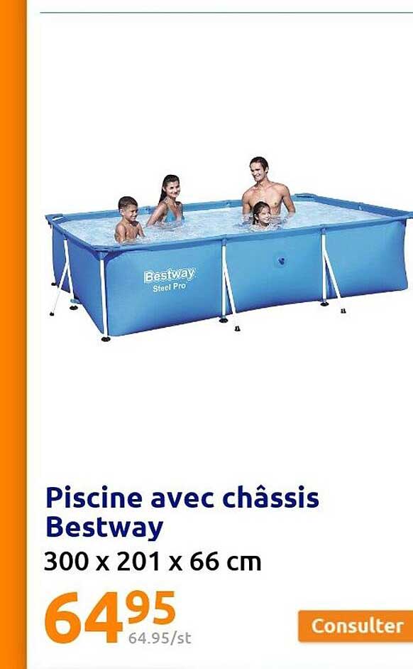 Piscine Avec Châssis Bestway