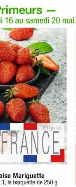 fraise mariguette