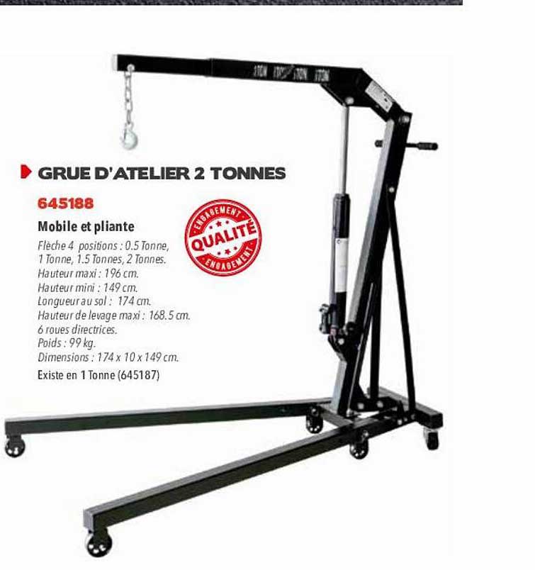 grue d'atelier 2 tonnes