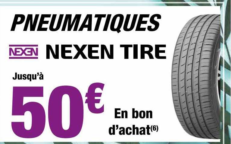 pneumatiques nexen tire