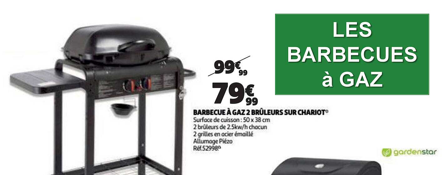 barbecue à gaz 2 brûleurs sur chariot
