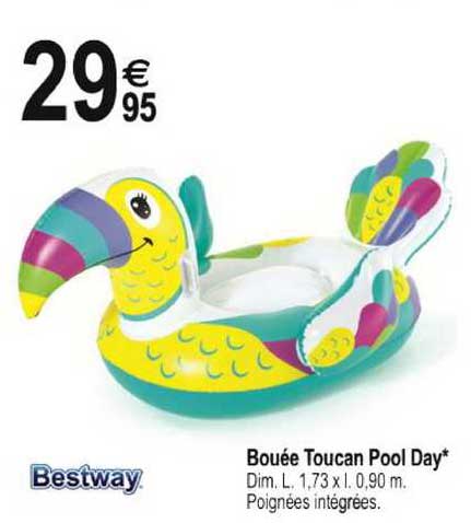 bouée toucan pool day bestway