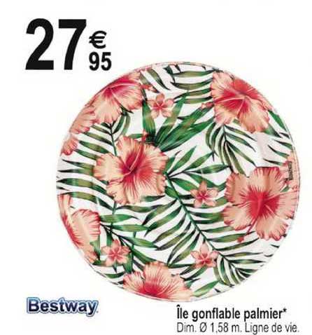 île Gonflable Palmier Bestway