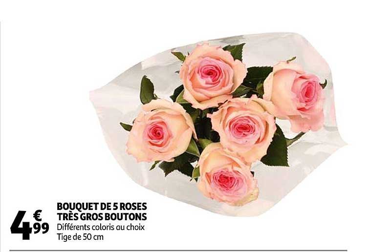 bouquet de 5 roses très gros boutons