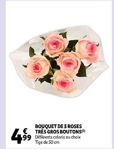 bouquet de 5 roses très gros boutons