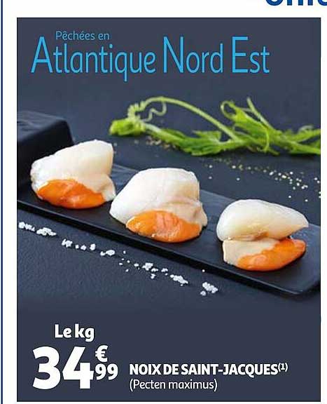 noix de saint-jacques